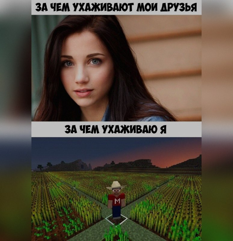Ночная подборочка
Спать, режим