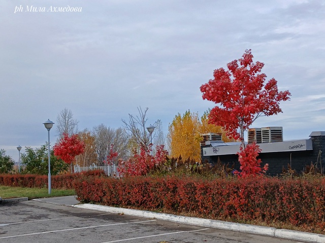 🍁🍂
Сегодня, в понедельник октября, на набережной бы?...