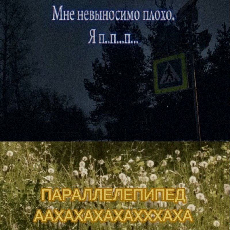 Ночная подборочка
Выходные, не спим