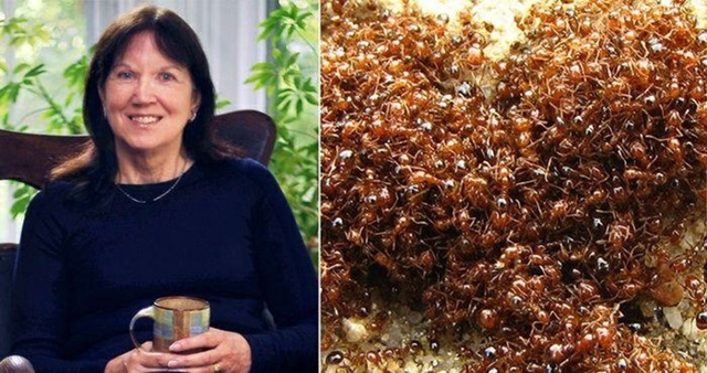 В 1999 году парашютистка Джоан Мюррей упала с нераскрывш...