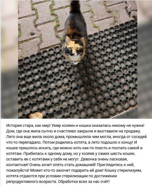 Пост добра. Распространите, пожалуйста.