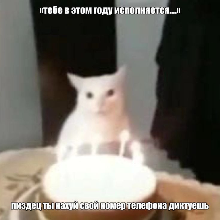 Утренняя подборочка