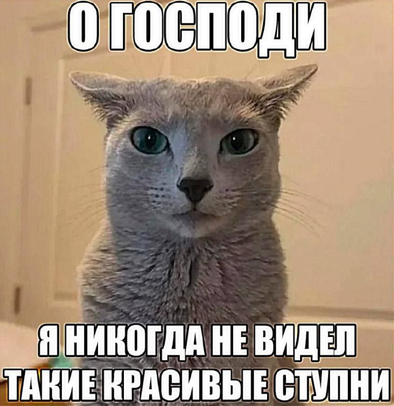 Утренняя подборочка