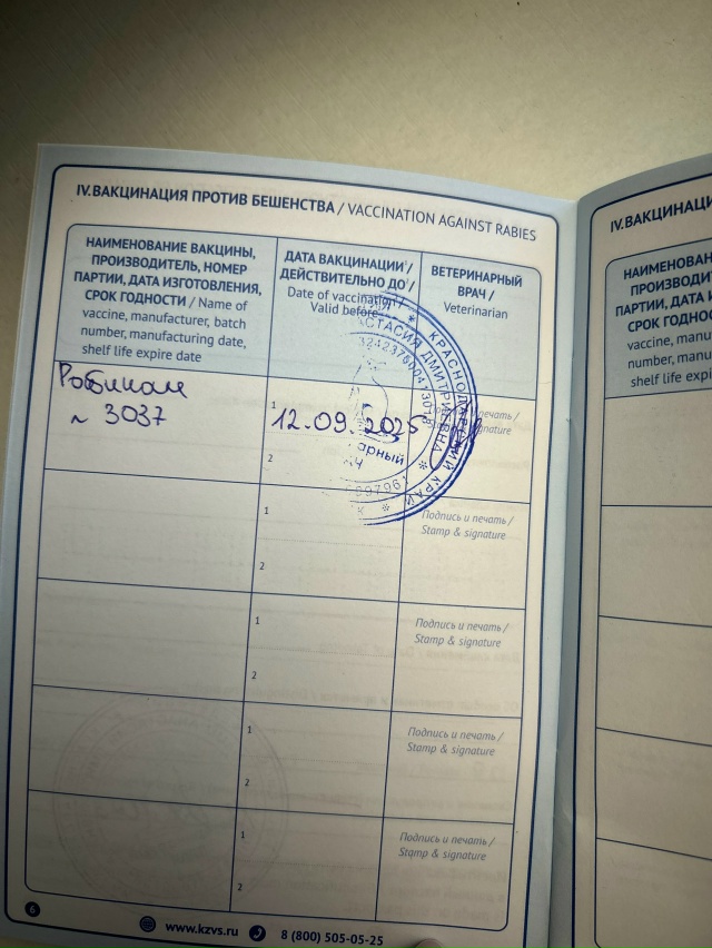 Вот такая красотка ищет дом❤️
Ей 8 месяцев.
Недавно с?...