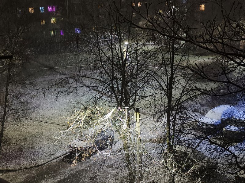 ‼️Сильнейший снегопад накрыл Питер — Гатчина уже полностью завалена
Петербуржцы, держитесь