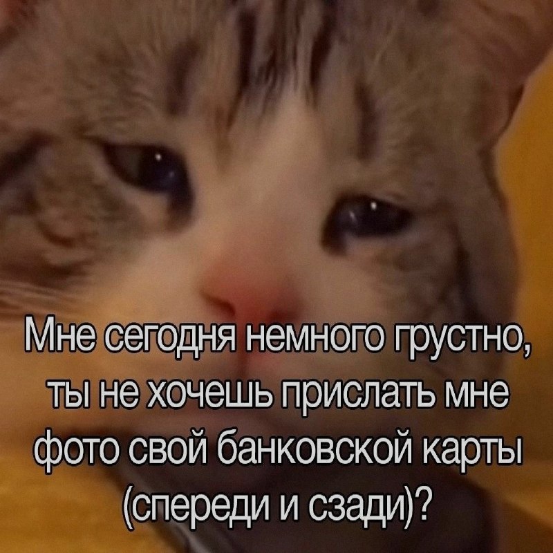 Ночная подборочка
Спать, режим