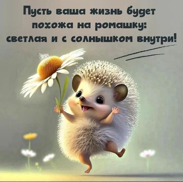 Доброе утро 🌞