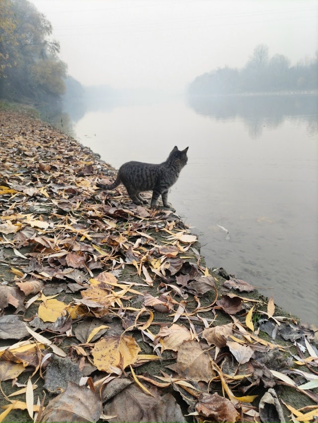 Мурмелад решил оторваться от суеты и насладиться прир?...