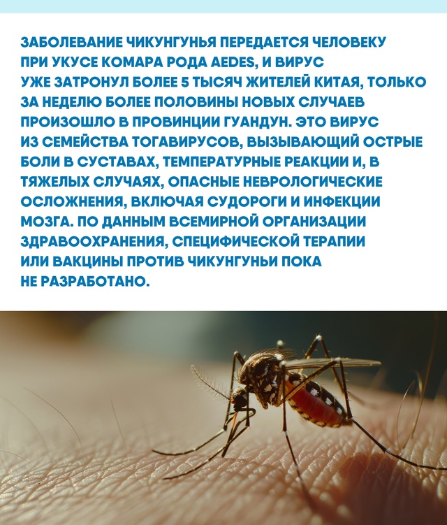 Когда вирус мутирует, а привычные методы не работают, д...