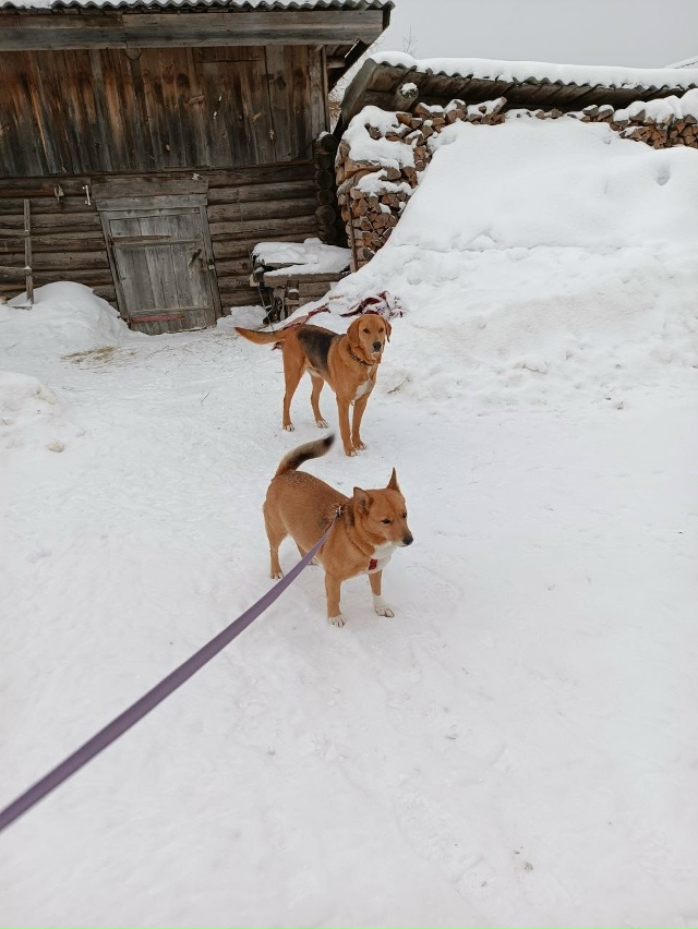 Помогаю информационно!
Нижегородская область. ?????...