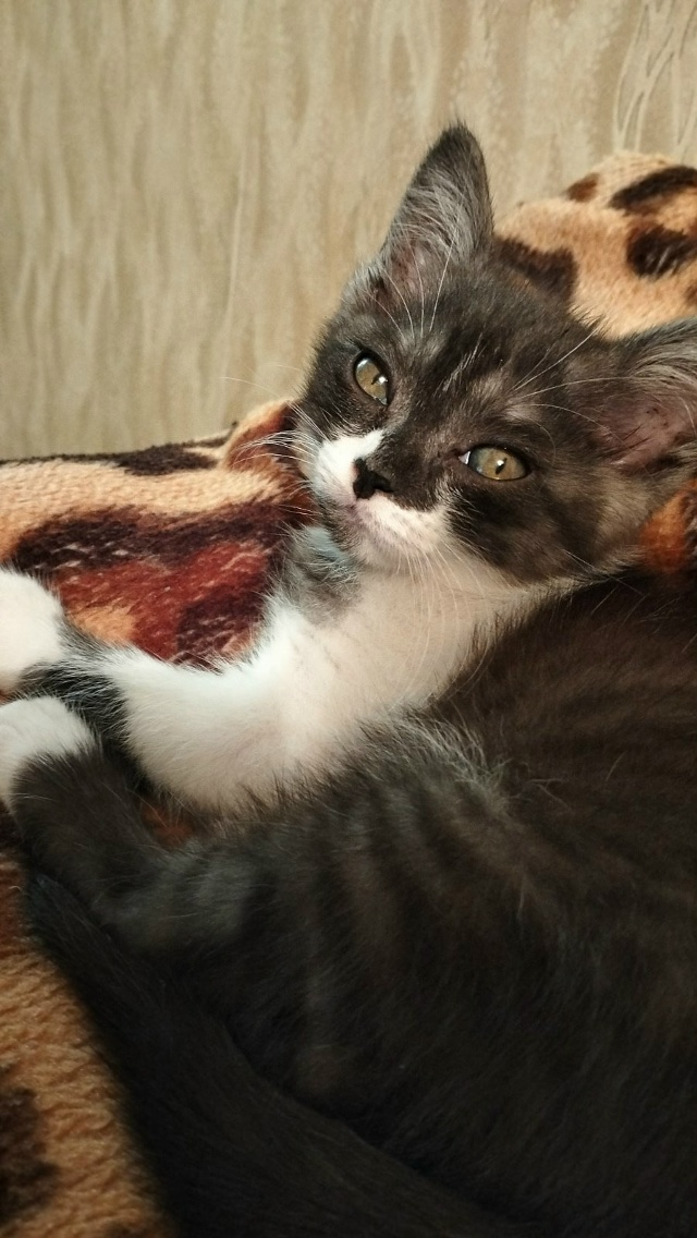 Арсений 🤗❤