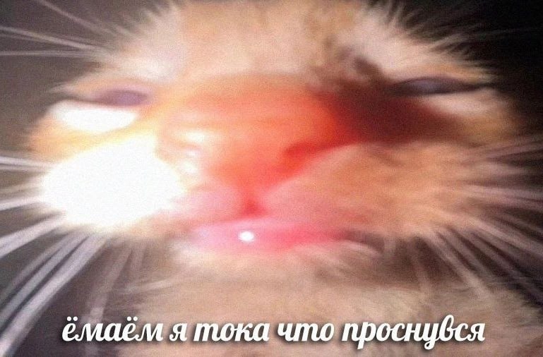 Утренняя подборочка