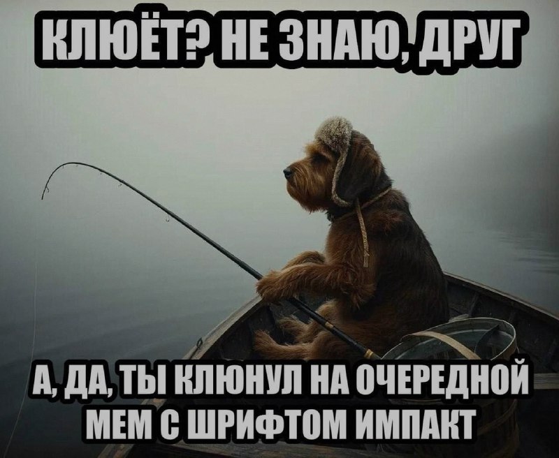 Ночная подборочка
Выходные, не спим
