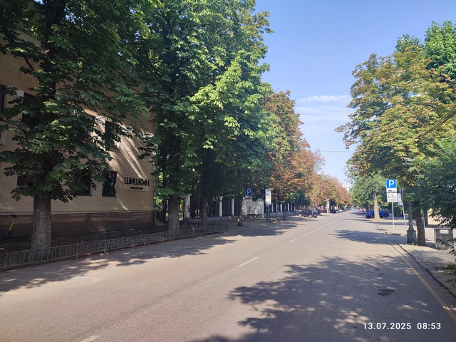 На единственной в Воронеже каштановой улице Комиссарж...