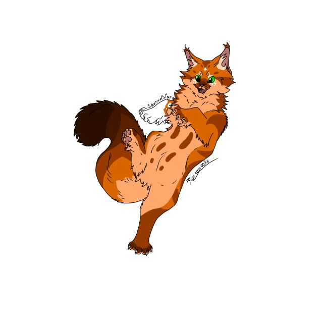 Белка в разные годы жизни
© rak0036
#KV_ZZ_ART