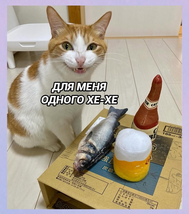 Никто:
Я в 3 часа ночи: