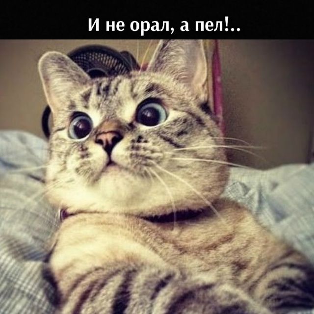 Да, хозяин, всё это сделал я, но с одним Но)))