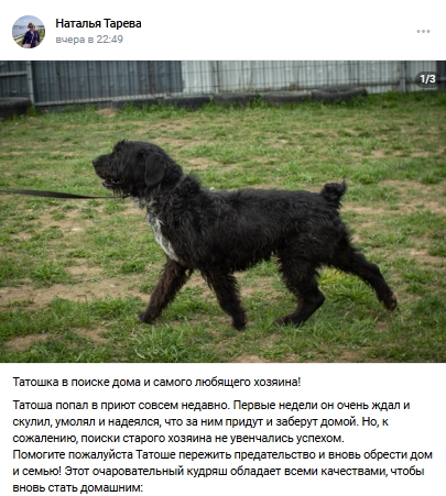 Пост добра. Распространите, пожалуйста.