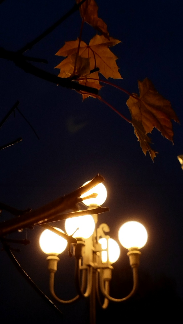 Вечерняя атмосфера👌