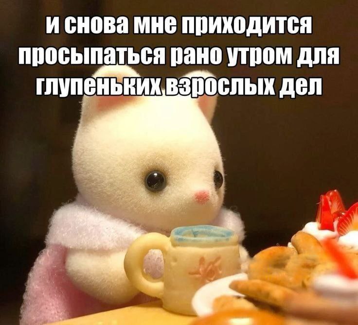 Утренняя подборочка