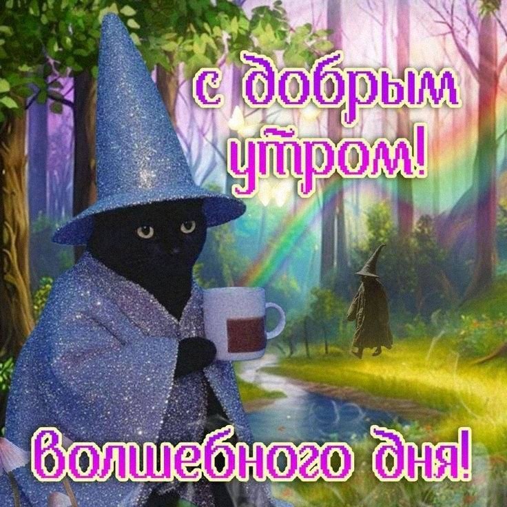Утренняя подборочка