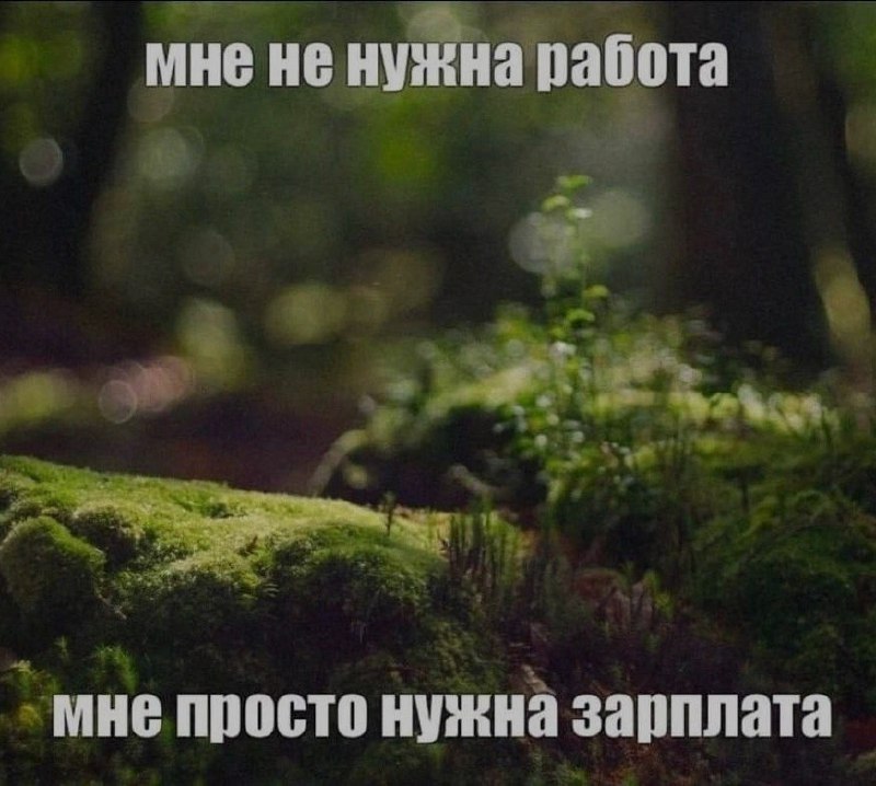 Ночная подборочка
Спать, режим