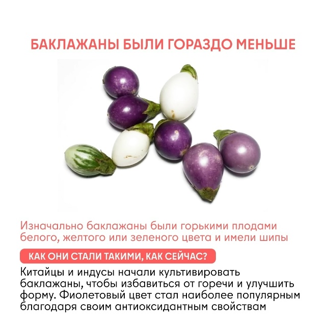 Как изменились овощи и фрукты за тысячи лет Задумывал...