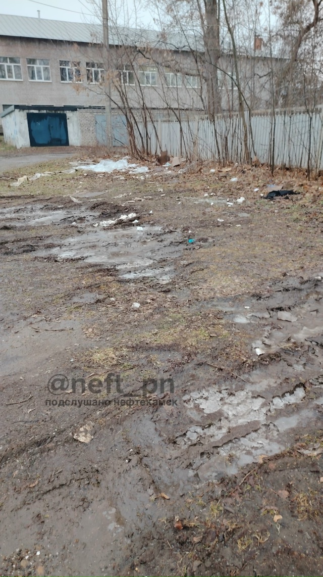 Вот таким зрелищем мы 