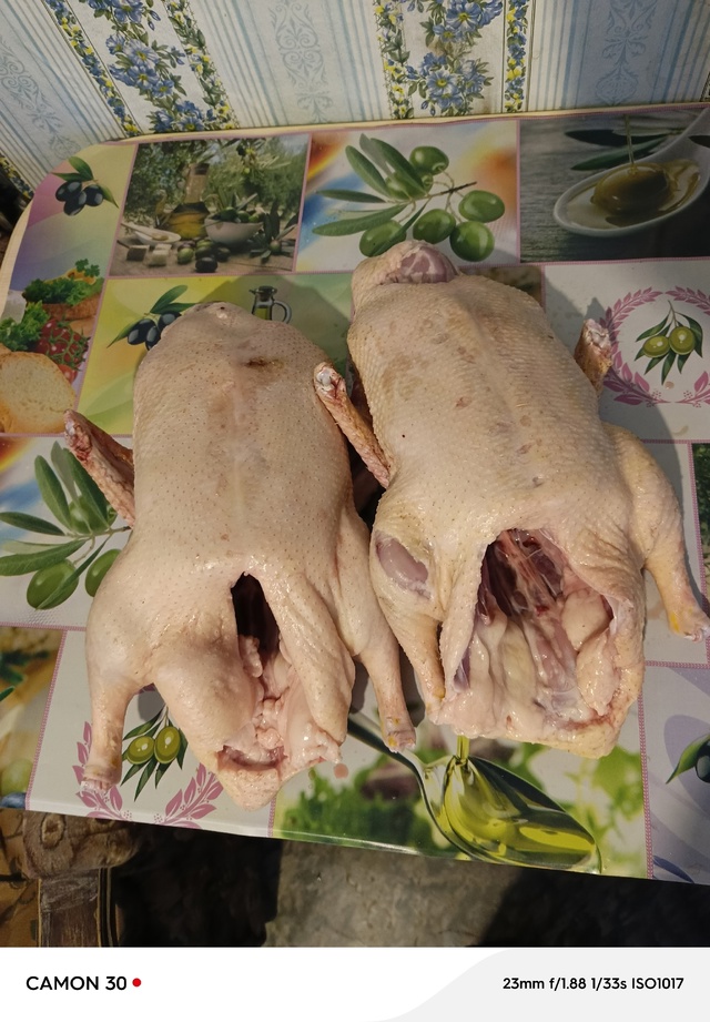 Здравствуйте. Продаю мясо бройлерных уток СТ-5. Есть до?...