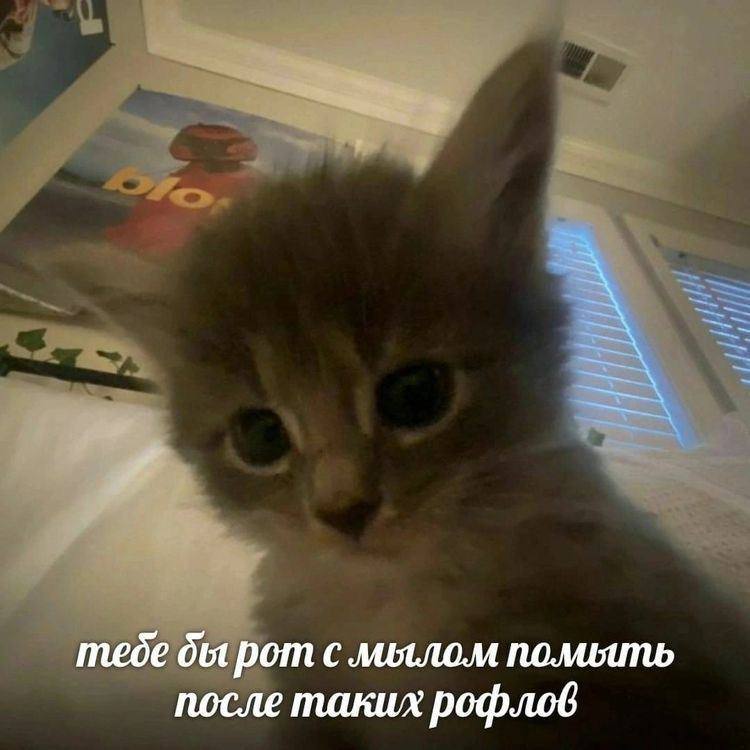 Утренняя подборочка