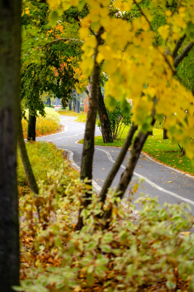 Осенний Воронеж прямо сейчас🍂🍁