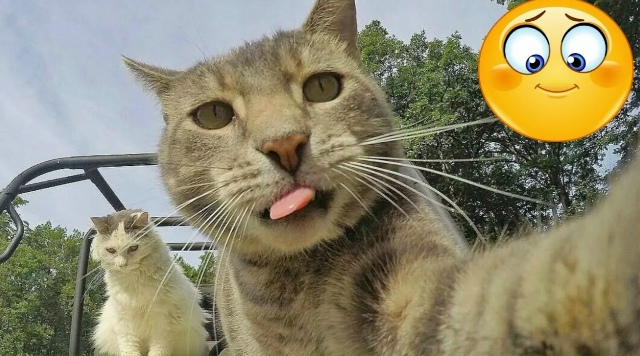 СAMЫЕ BЕPНЫЕ ПOCЛОВИЦЫ И BЫРАЖЕНИЯ:
1. - Kто Paнo Bcтaет — Тoт oб...