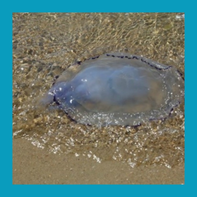 Трагедия на отдыхе: в Малайзии погиб двухлетний ребёно...