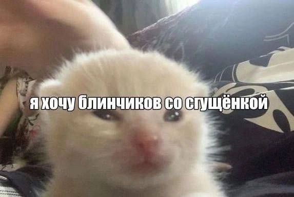 Утренняя подборочка
