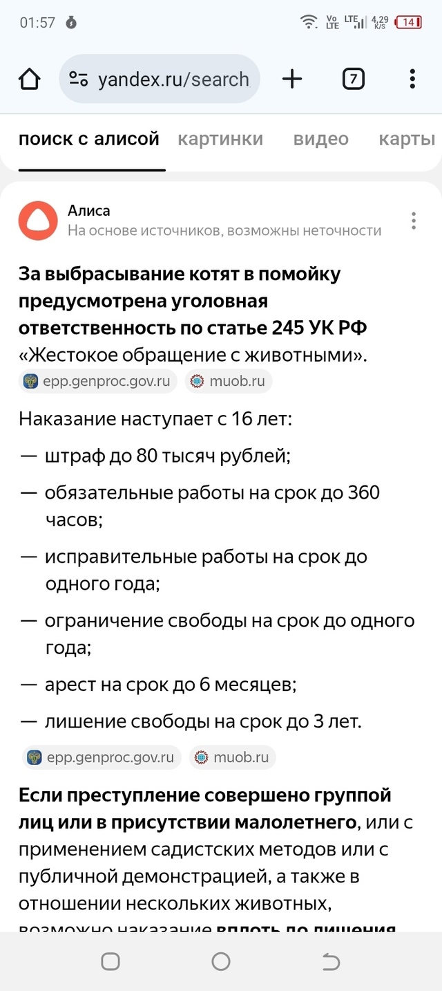 Сегодня, когда вышла из машины, я услышала писк. По звук...