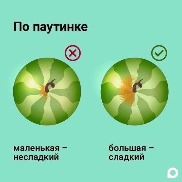 Как правильно выбрать арбуз.😎