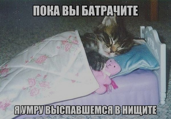 Ночная подборочка
Спать, режим