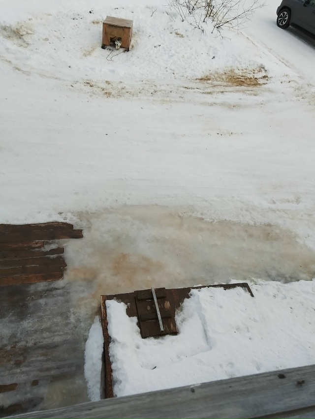 Уплыли
От [id418848623|Наталья Володина]