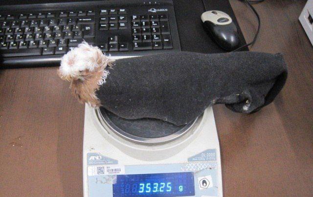 Живых голубей в носках пытались протащить через российско-латвийскую границу.
Псковские таможенники