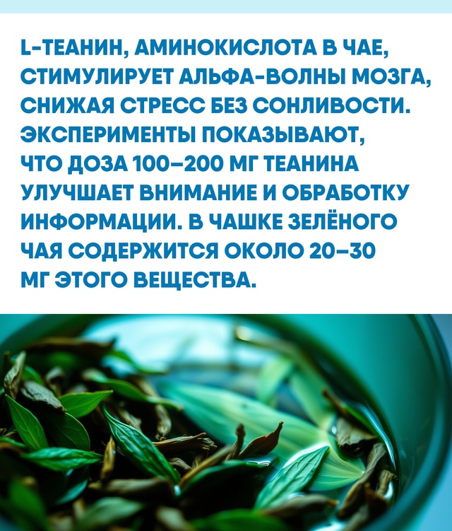Возможно, ваша продуктивность зависит не только от кол...