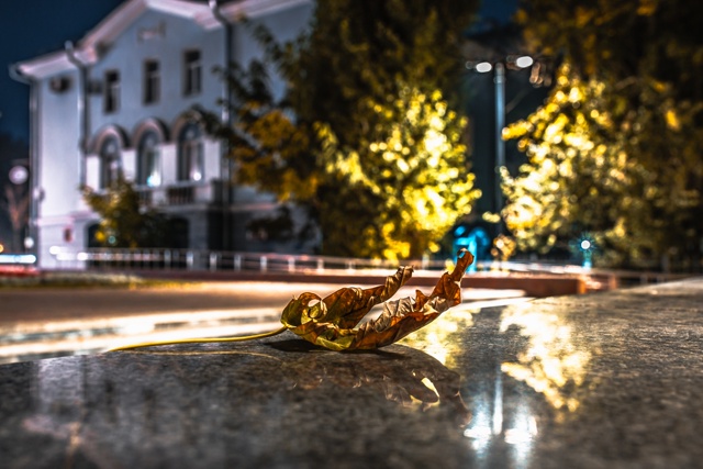 Вечерний Воронеж прямо сейчас🍁🍂