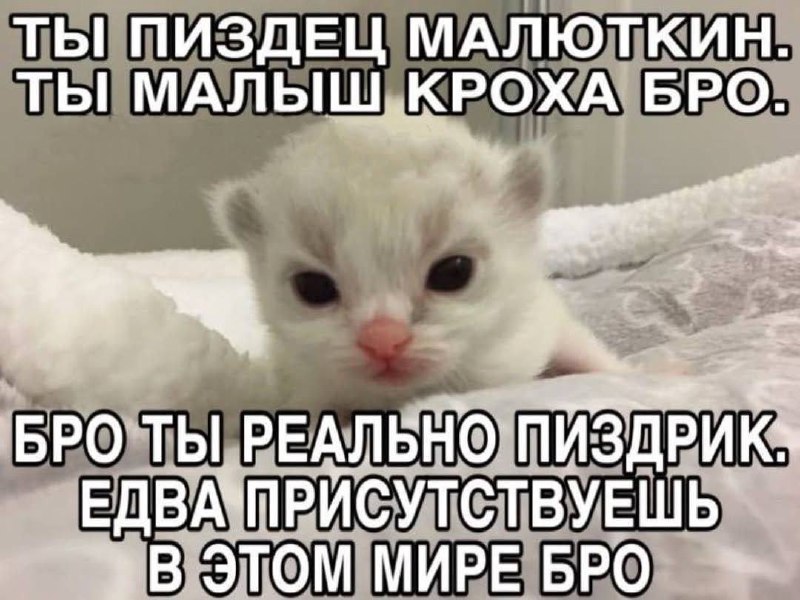 Утренняя подборочка