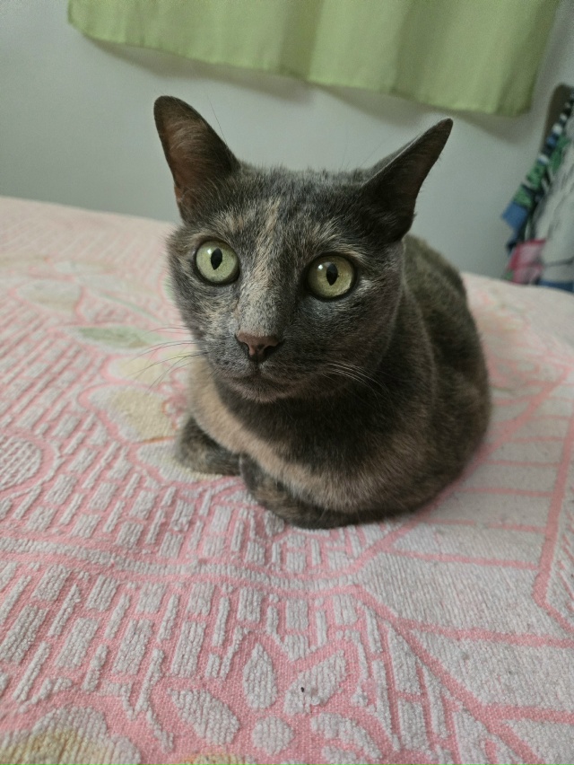 #БляцкаяДжолин #чёрнаяхтонь
Свет и Тьма в моей жизни.
О...