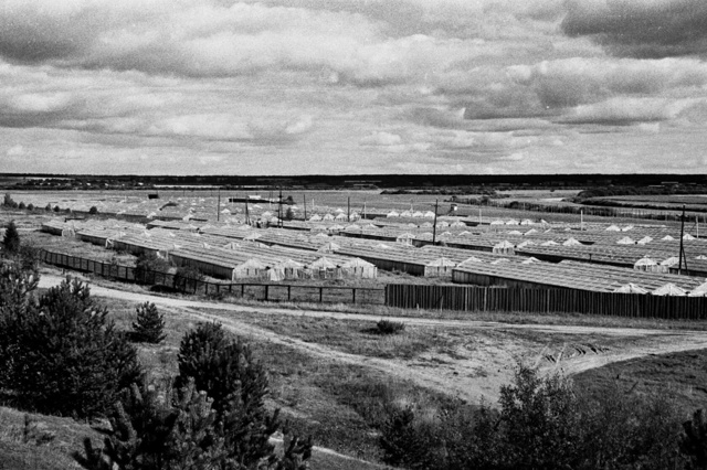 Ретро-Вельск. Кто помнит такие теплицы в Вельске и где ?...