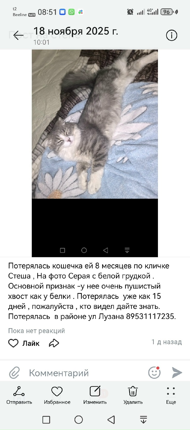 Кто видел , кто знает пожалуйста 89531117235