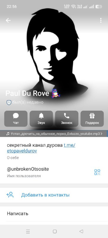 Судя по музыке в профиле, это настоящий Пашка