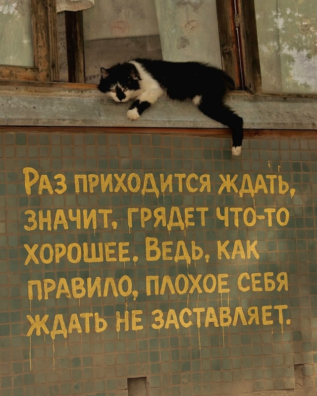 Китики дело говорят