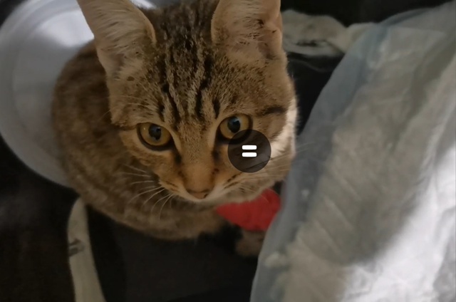 Внимание!! 17.10 на Комсомольском проспекте на парковке н...