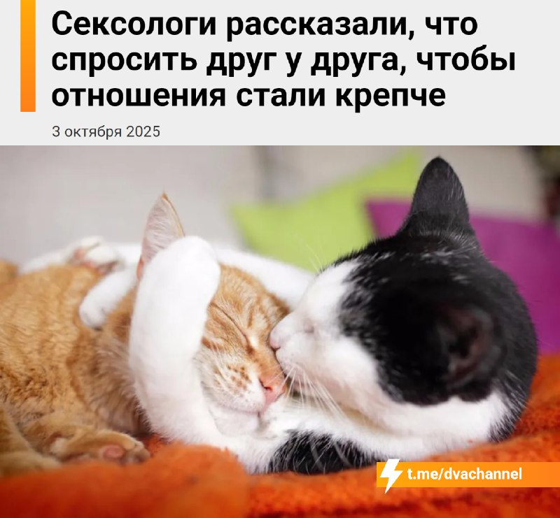 Спасаем свои отношения: сексологи выкатили более 50 вопросов для пар, которые помогают стать ближе,