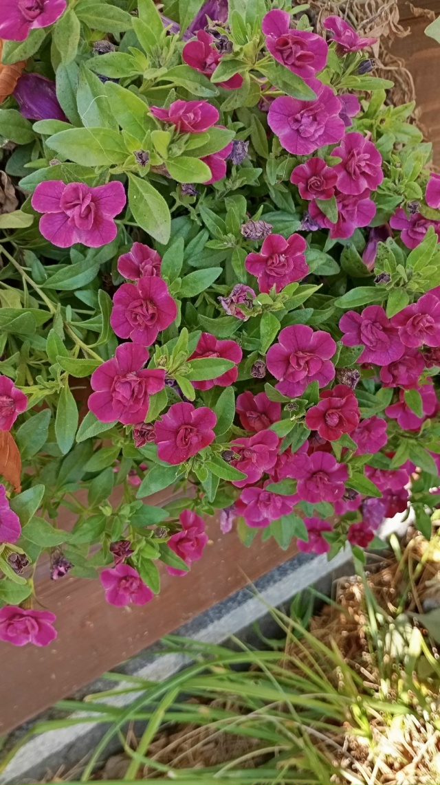 Доброе утро 🌄